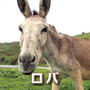 「ロバです」