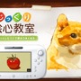 Wii U『じっくり絵心教室』11月12日発売、30種類のレッスンで絵心を学ぼう