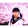 ボカロ映画「桜ノ雨」3月5日公開決定、特報には合唱シーンも