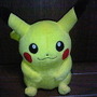 ポケモンセンター初売りレポート'09