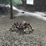 Published by NHN Japan Corporation Copyright (C) NHN Games Corporation All rights reserved.