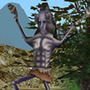 Copyright (c)2006 Shares Corporation & Mirinae Entertainment All Rights Reserved.