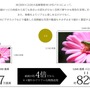 DMM、低価格4Kディスプレイを発表―50インチが約6万円【UPDATE】