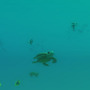 微生物から銀河系まで何でもなれる『Everything』近日登場―カオスすぎるプレイ映像…