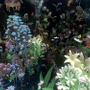 微生物から銀河系まで何でもなれる『Everything』近日登場―カオスすぎるプレイ映像…