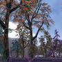 (c)2007 YNKJAPAN Inc.(c)2005-2007 YNKGAMES Co., Ltd.
