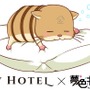 『夢キャス』×「秋葉原 BAY HOTEL」予約が1月6日より開始―女性専用カプセルホテルとコラボ