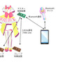 「サイリウムチェンジ！」の声でコスプレ衣装が光り輝く！ 音声認識を取り入れた“らぁら”の電飾衣装が見事な完成度
