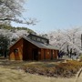 【読者の皆さまへ】3月31日、インサイド/Game*Spark編集部とゆるふわお花見しませんか？【UPDATE】