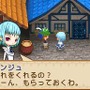 牧場物語 ようこそ!風のバザールへ
