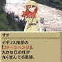 世界ふしぎ発見!DS 伝説のヒトシ君人形を探せ!