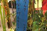 「傷物語」秋葉原で七夕イベント　神谷浩史、坂本真綾、花澤香菜らが願ったこととは？