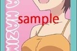 (C)得能正太郎・芳文社／NEW GAME!製作委員会