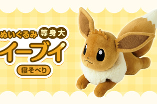 『ポケモン』“等身大イーブイぬいぐるみ”が可愛すぎる！ゆったり寝そべって、見上げているようなポーズにキュン 画像
