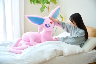 『ポケモン』エーフィ、ブラッキーの等身大ぬいぐるみ予約は6月16日まで！ 画像
