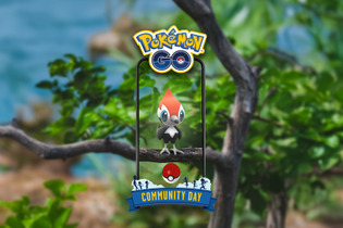 特別わざ習得で、“ひこう最強”に大出世！「ツツケラ」コミュデイ重要ポイントまとめ【ポケモンGO 秋田局】 画像