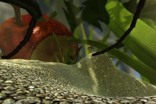 働きアリとなり、アリ目線でサバイバルする『Ant Simulator』が開発中 画像