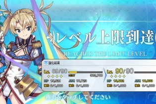 『FGO』フレポ召喚の種火だけで★5サーヴァントをLv.90に―掛かったポイントやガチャ回数はこうなった！【年末年始特集】 画像