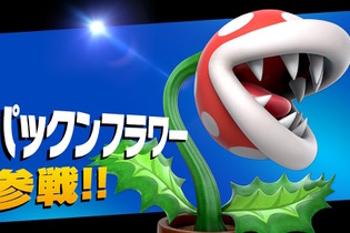 『スマブラSP』早期購入特典「パックンフラワー」コードが届かない際の対処方法 画像