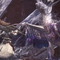 『モンハン：アイスボーン』歴戦王イヴェルカーナとの初戦結果を一挙紹介！ 新大陸を締めくくる王者に感謝の声が殺到【アンケート】