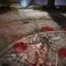 『ELDEN RING』全裸に刀で、「奇しくも同じ構え」！一太刀での決着に「素晴らしい幕引き」と拍手喝采