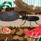 エイト・ソーシャルウェア、モバゲータウンにて『昆虫コロシアム』サービス開始