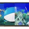 一緒にバトルしたいカッコいいポケモン10選