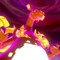 『ポケモン ソード・シールド』読者が一番好きなキョダイマックス1位は「リザードン」に！【読者アンケート】