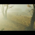 『Ghost of Tsushima』はあらゆる瞬間が“絶景”！ フォトモードなしでも、世界はこんなに美しい・・・