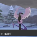 『ポケモン ソード・シールド』対戦で注目したい「冠の雪原」のポケモン10選！ 注目のポケモンたちが解き放たれる！