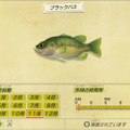 いつでもどこでも釣れるけど…『あつまれ どうぶつの森』の「ドンコ」ってどんな魚？【平坂寛の『あつ森』博物誌】