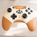 「Brook Vivid Switch用 ワイヤレス コントローラー」でオシャレに遊ぼう！背面ボタン、マクロ機能などゲーマーの欲しい機能も完備
