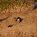 あのヤギが更にカオスになって返ってくる！情報量が多すぎる『Goat Simulator 3』プレイレポ&ヤギを10年“吸い続ける”開発者インタビュー