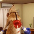 鉄拳6