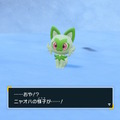 『ポケモン スカーレット・バイオレット』「ニャオハ」の進化を力技で止める猛者爆誕ーB連打で“ニャオハ立つな”問題を超え、もはや進化させない道へ