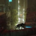 【猫の日特集】現実に疲れたらすべてを投げ出して猫になればいいじゃない！猫になれるゲーム6選