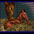 シリーズ30周年！競馬SLG『ウイニングポスト』最新作を前にシリーズ原点をプレイしてその魅力を伝えたい【特集】