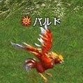 フラゴリア(FRAGORIA)