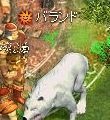 フラゴリア(FRAGORIA)