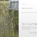 “あー、楽しかった”だけで終わらない作品を作りたい―『ナツノカナタ』『午前五時にピアノを弾く』開発者・Kazuhide Oka氏インタビュー