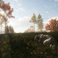 愛犬が飼える！犬とともに狩猟スローライフ『theHunter: Call of the Wild』最新DLC「Labrador Retriever」リリース