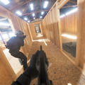 ロマンありすぎる…！リアルなボディカム対戦FPS『Bodycam』プレイテストが1月21日開催へ―無料で参加リクエストしよう