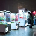 幕張メッセで行われた激闘の記録！「Apex Legends Asia Festival 2024 Winter」会場レポート