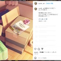 ※画像は「紫雲清夏（sum1k._.o0）」のInstagramより。