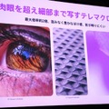 「Xperia」シリーズ最新モデル「Xperia 1 VI」発表！2日間分のバッテリーや“ソニーだからできた”ディスプレイ技術に注目【イベントレポート】