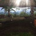 モンスターハンター フロンティア オンライン