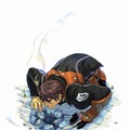 ラストランカー