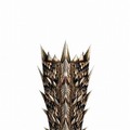 モンスターハンター フロンティア オンライン