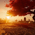 『Ghost of Tsushima』聖地巡礼を果たした海外ゲーマーの比較写真が話題に―「静かで手付かずの特別な場所だった」