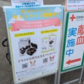 献血するだけで「カナル型Bluetoothイヤホン」が!? 社会貢献でゲーミングライフが充実する“一石二鳥”なライフハック